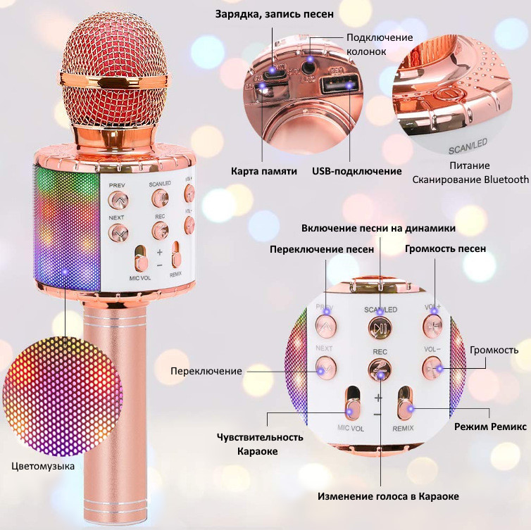 Домашнее караоке